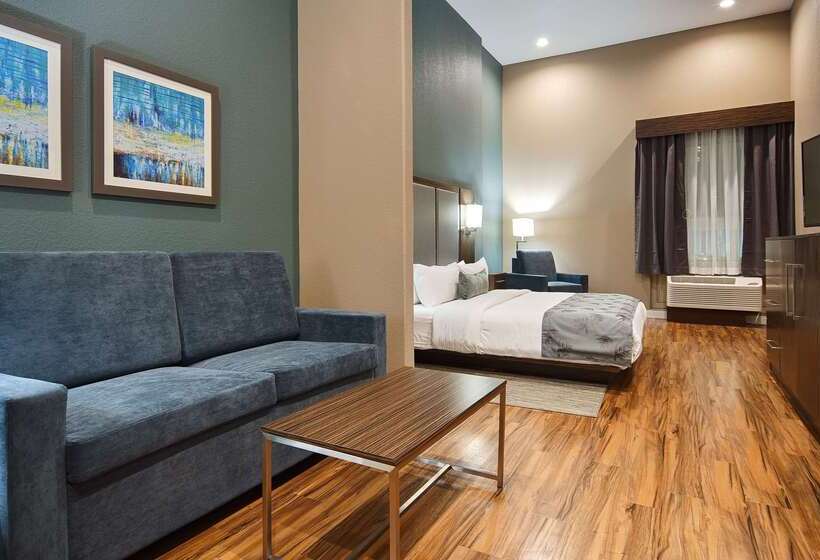 فندق Best Western Plus Pflugerville Inn & Suites