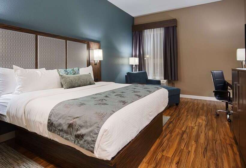 فندق Best Western Plus Pflugerville Inn & Suites