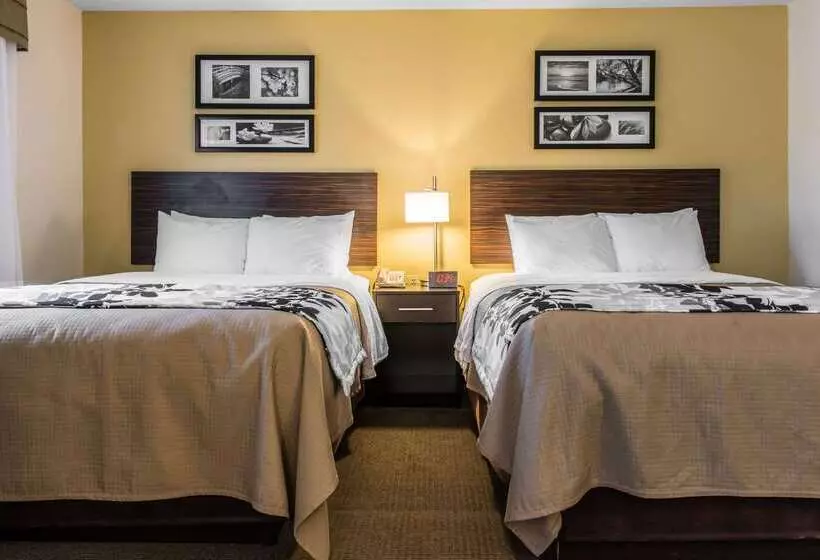 ホテル Sleep Inn & Suites