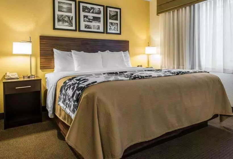 ホテル Sleep Inn & Suites