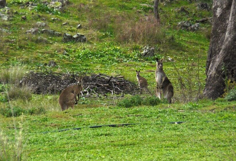 פנסיון Wildwood Guesthouse