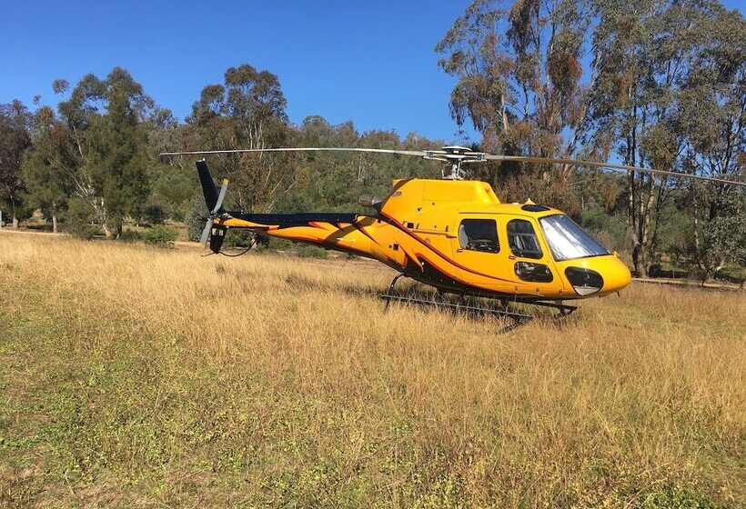 פנסיון Wildwood Guesthouse