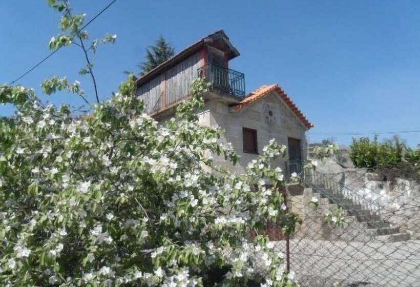 Quinta Da Casa Grande De Pinheiro