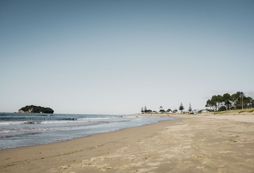 호스텔 Surf N Stay Whangamata