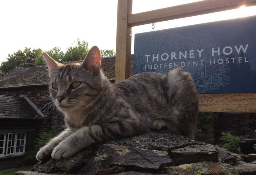 هاستل Thorney How