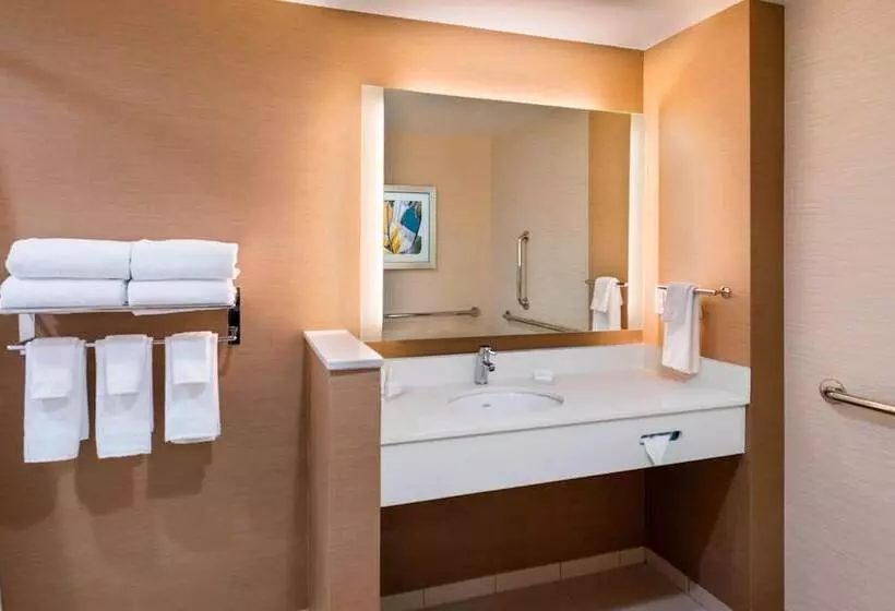 ホテル Fairfield Inn & Suites By Marriott Dallas Waxahachie