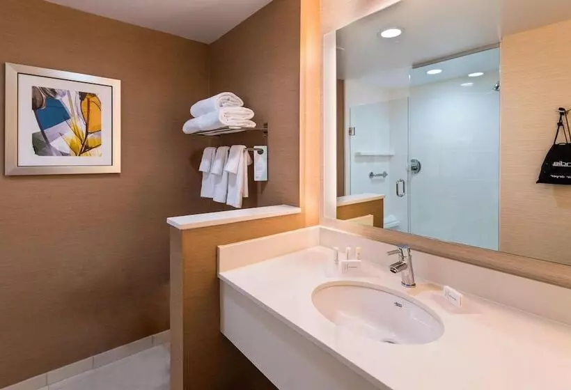 ホテル Fairfield Inn & Suites By Marriott Dallas Waxahachie