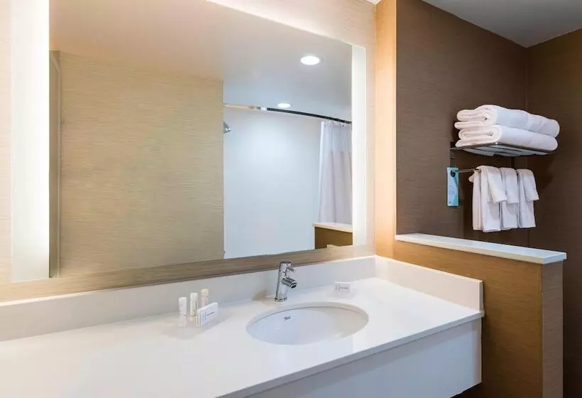 ホテル Fairfield Inn & Suites By Marriott Dallas Waxahachie