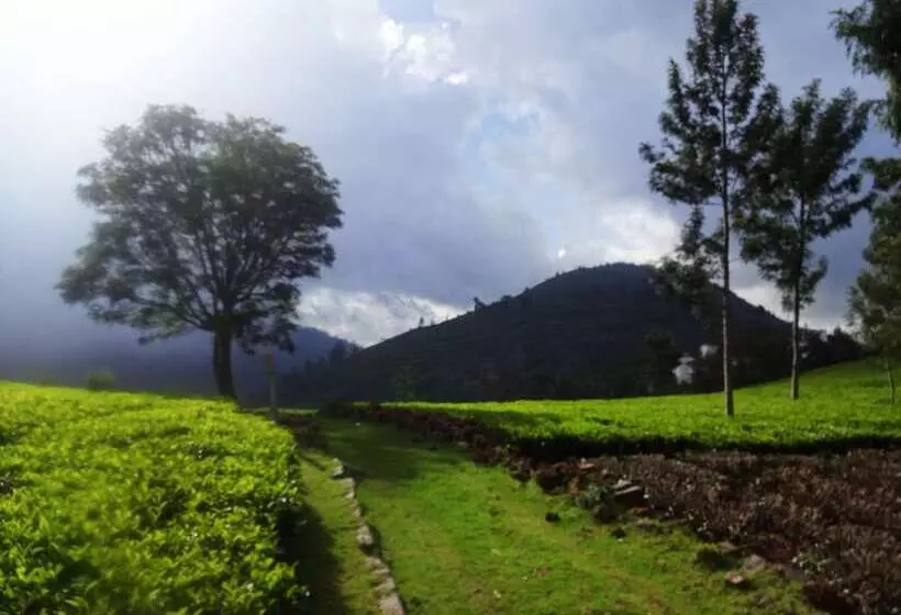 Hotelli Green Nest Resort Ooty