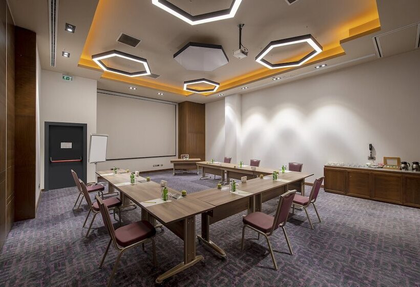 酒店 Holiday Inn Kayseri Duvenonu, An Ihg