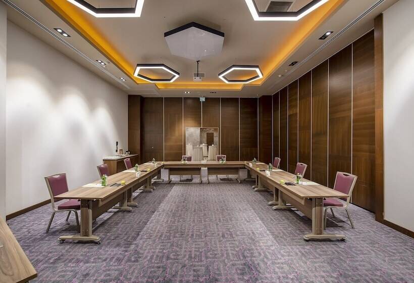 酒店 Holiday Inn Kayseri Duvenonu, An Ihg