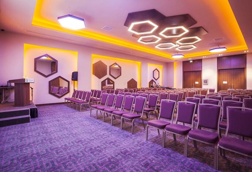 酒店 Holiday Inn Kayseri Duvenonu, An Ihg