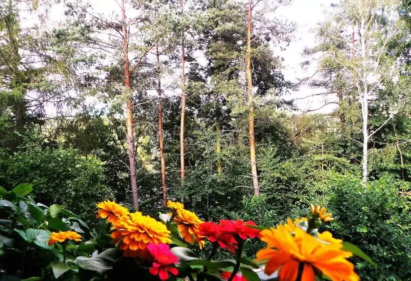 ホテル Penzion Bor