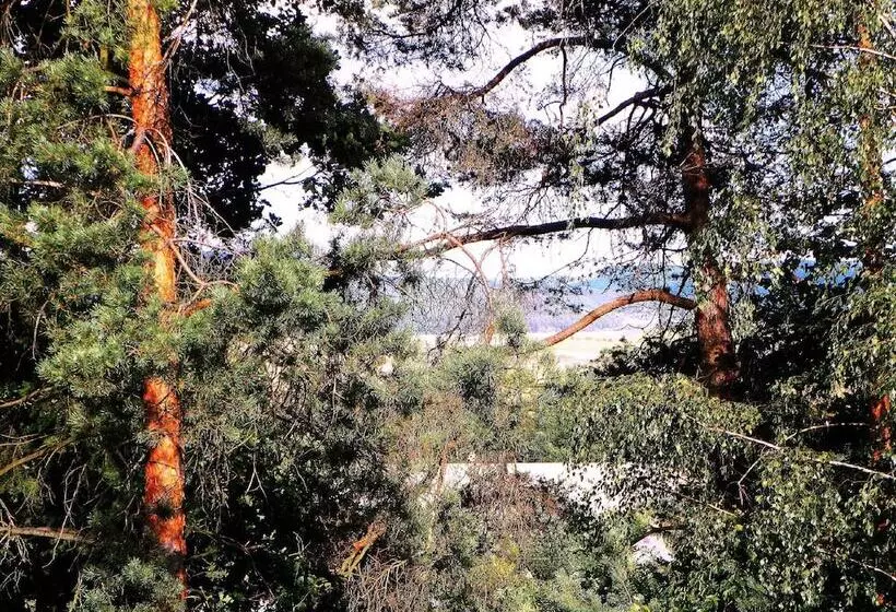 ホテル Penzion Bor