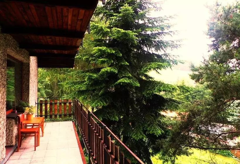 ホテル Penzion Bor
