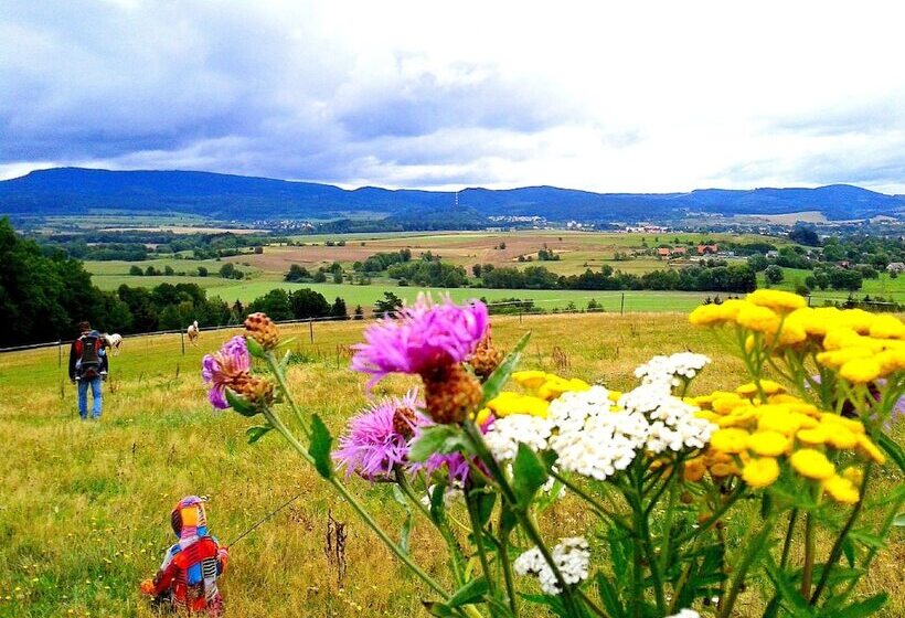 בית מלון כפרי Penzion Bor