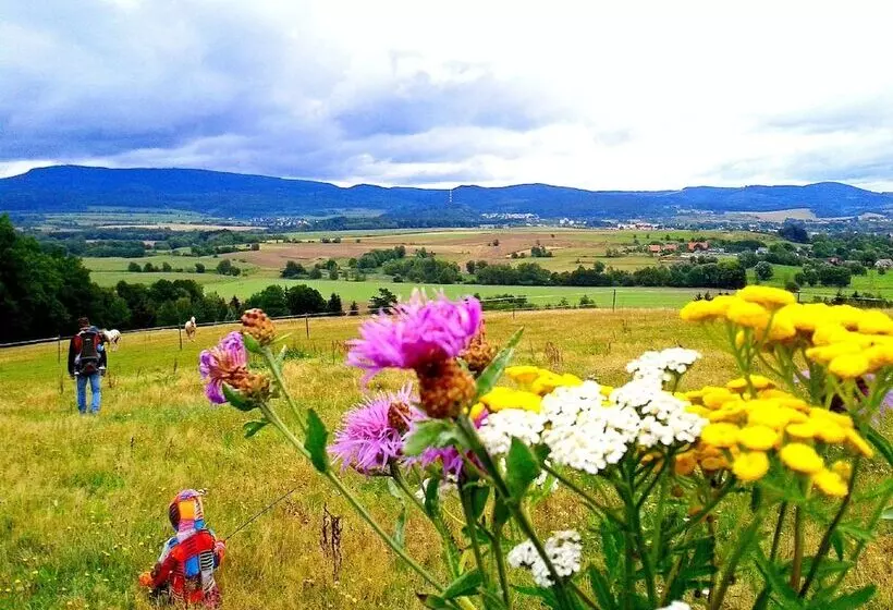 ホテル Penzion Bor