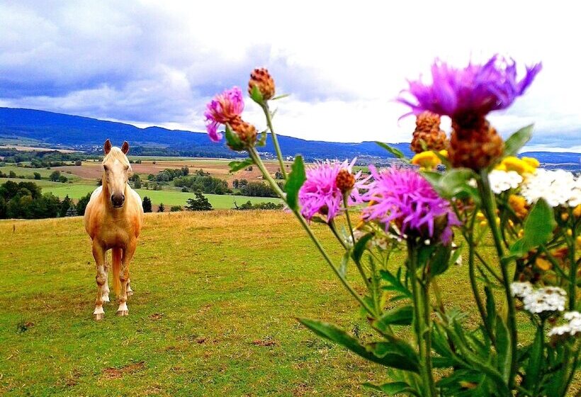 בית מלון כפרי Penzion Bor
