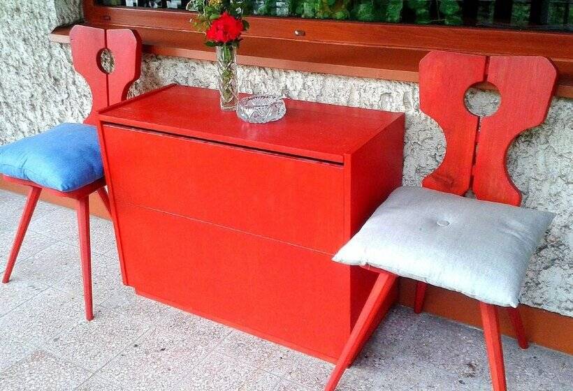 בית מלון כפרי Penzion Bor