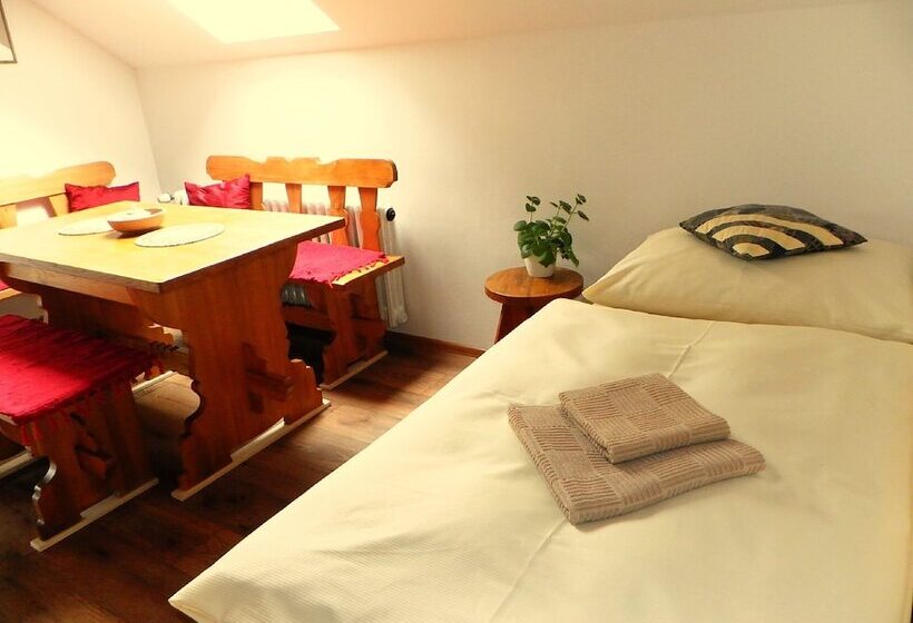 בית מלון כפרי Penzion Bor