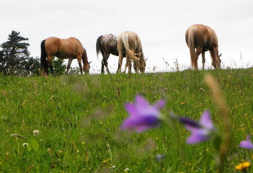 בית מלון כפרי Penzion Bor