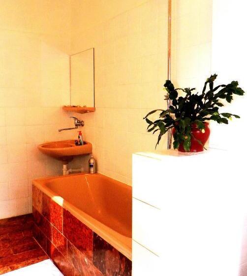 בית מלון כפרי Penzion Bor