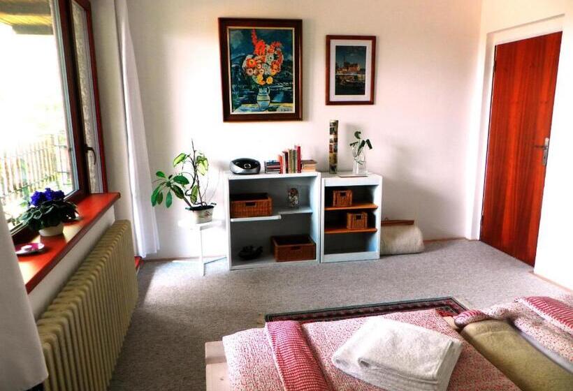 בית מלון כפרי Penzion Bor