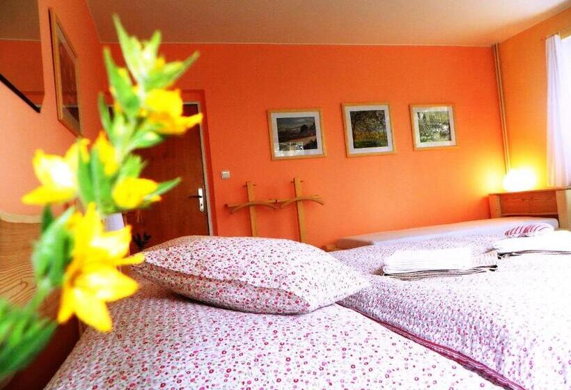 בית מלון כפרי Penzion Bor