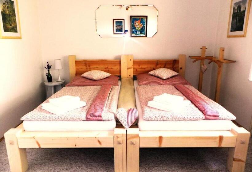 בית מלון כפרי Penzion Bor