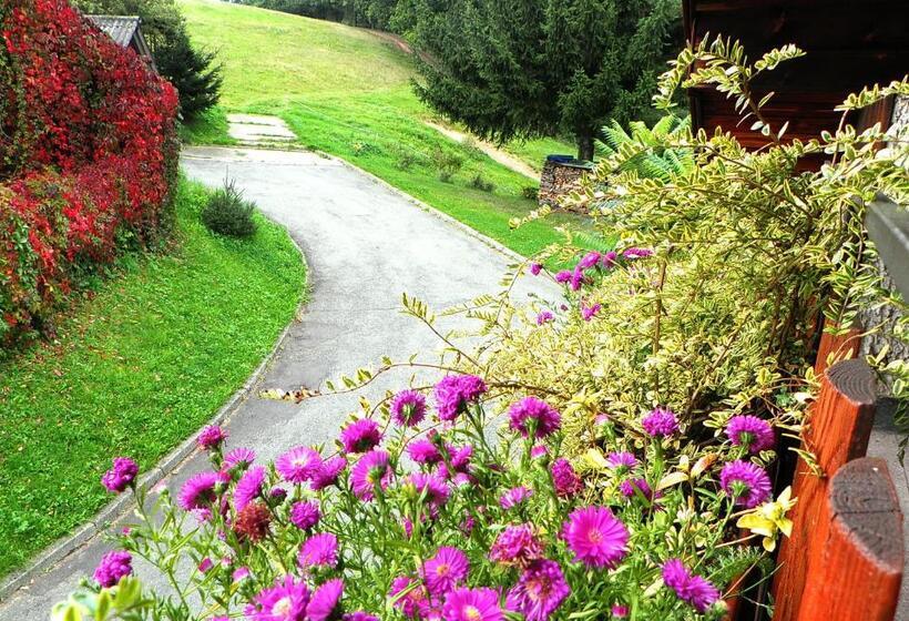 בית מלון כפרי Penzion Bor