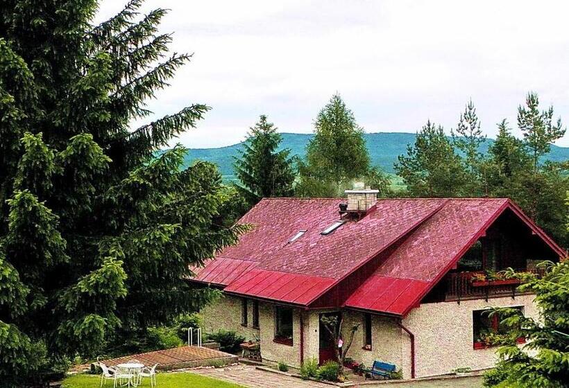 בית מלון כפרי Penzion Bor