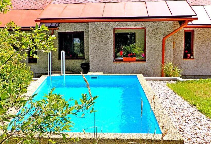 בית מלון כפרי Penzion Bor