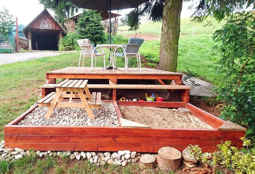 בית מלון כפרי Penzion Bor