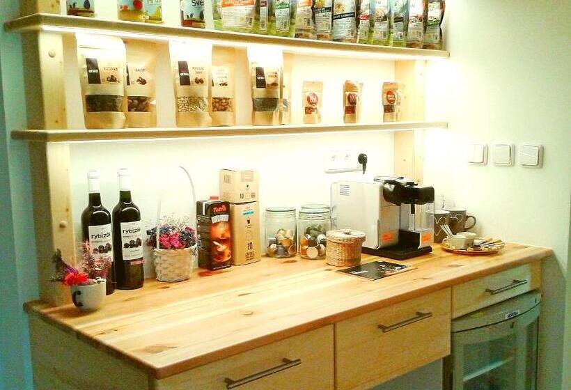 בית מלון כפרי Penzion Bor