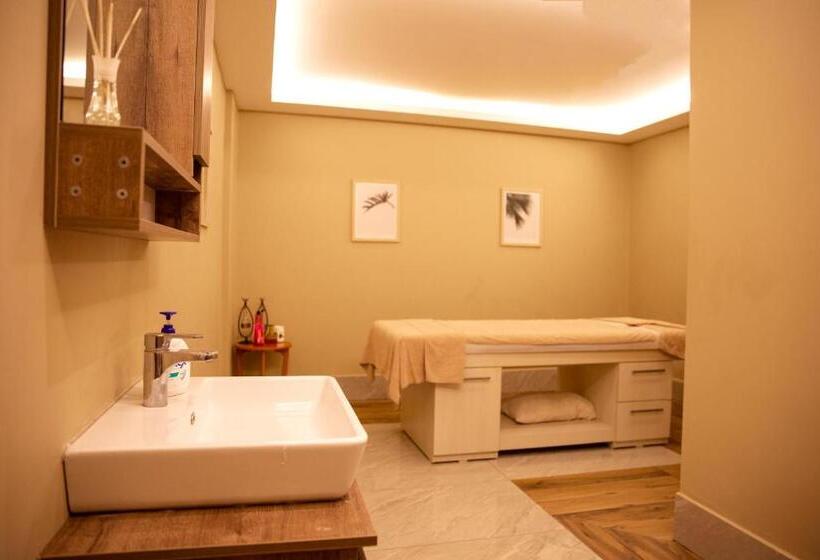 ホテル Premier Vista