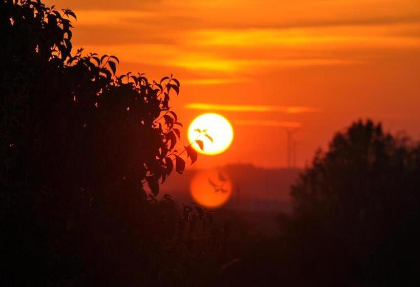Отель Restaurant Elsterblick