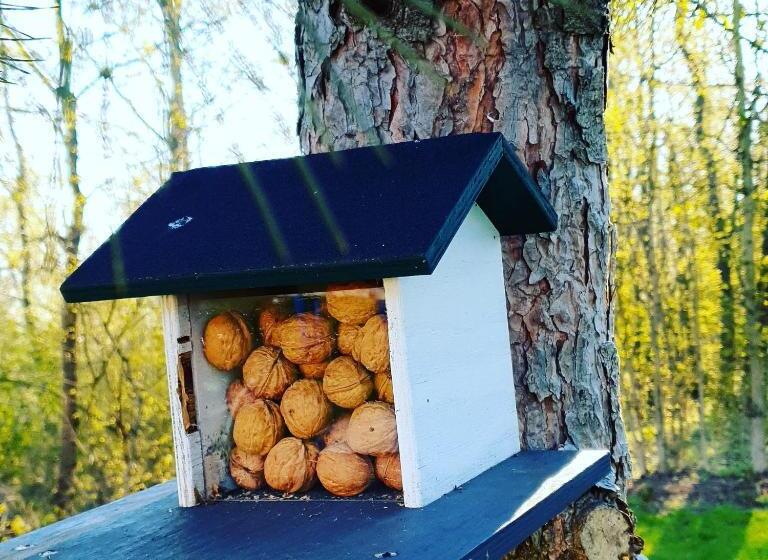 Отель Restaurant Elsterblick