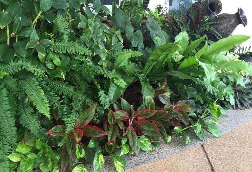 Отель The Grace Residence