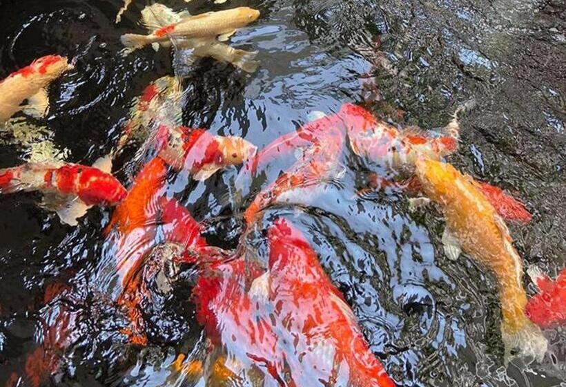 Отель The Grace Residence