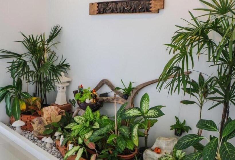 Отель The Grace Residence