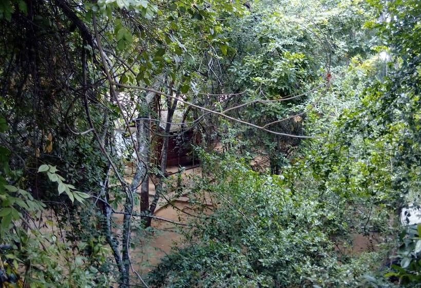 Pensão Centauria City