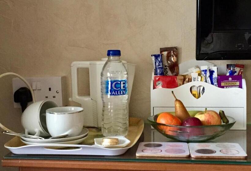 פנסיון The Northdale Hotel Ltd