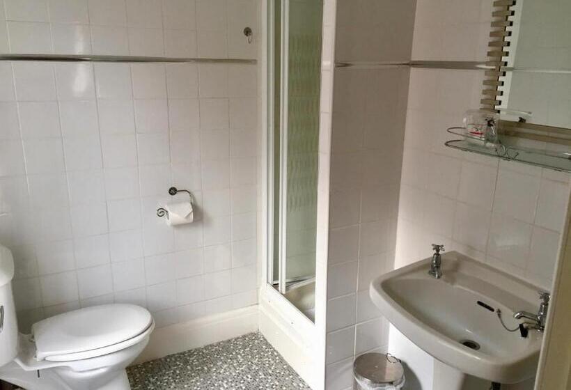 פנסיון The Northdale Hotel Ltd