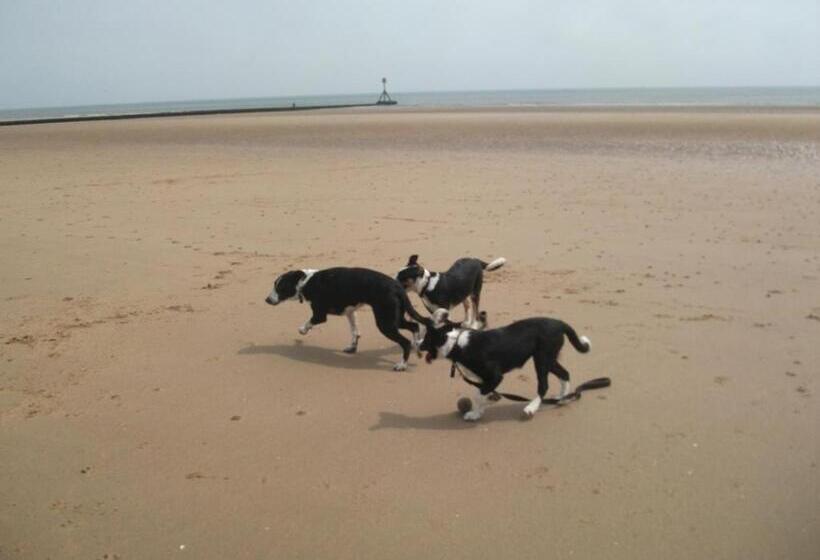 مبيت وإفطار Jasmine Guest House