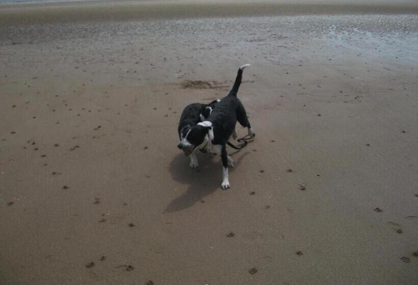 مبيت وإفطار Jasmine Guest House