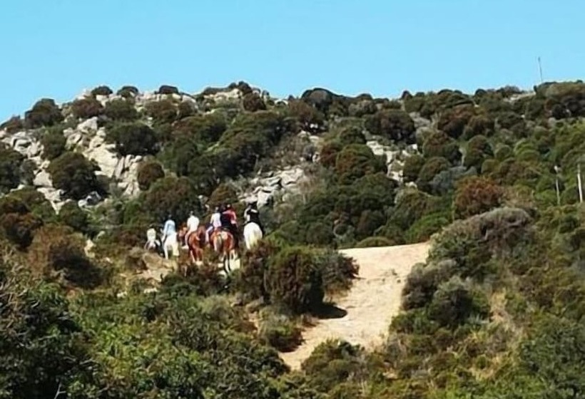 住宿加早餐  Villa Rosanna