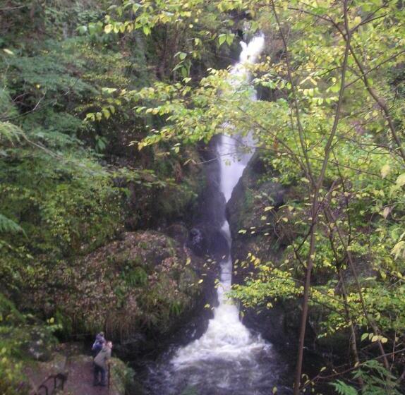 Brookfield B&b Guest House