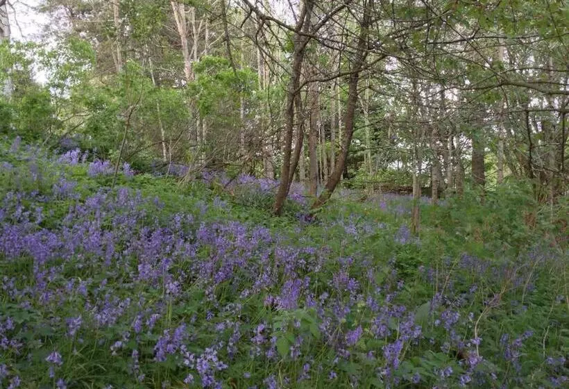 Dower House Newtonmore B&b
