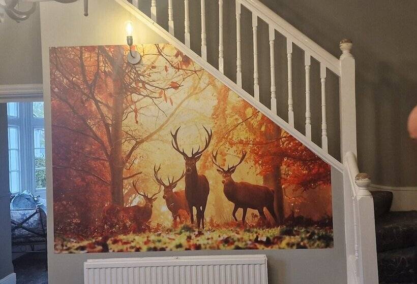 Отель The Ardingly Inn