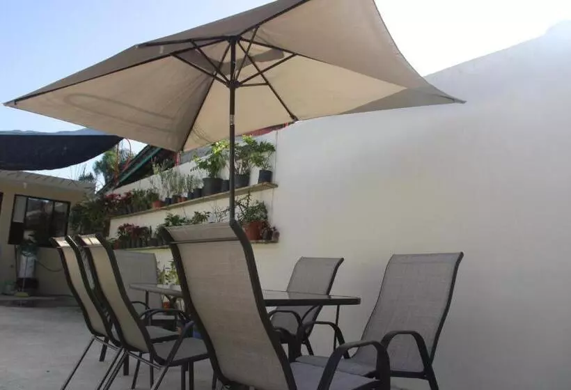 ホテル Boutique La Orquidea